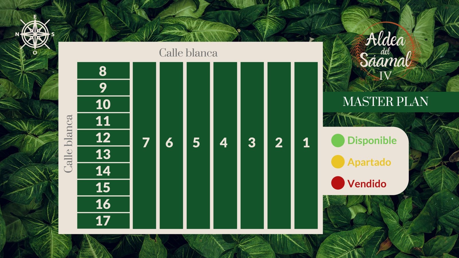 plano